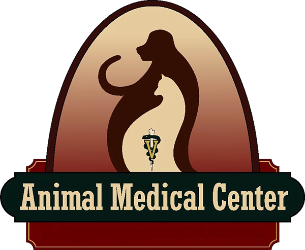 Veterinarian in Somerset | High Quality Vet Care | Local Animal Hospital